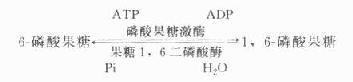 各型糖原贮积病的特征