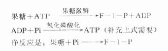 果糖代谢途径