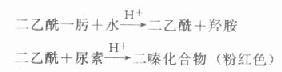 肾小球滤过率与血肌酐、尿素浓度的关系
