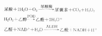 肾小球滤过率与血肌酐、尿素浓度的关系
