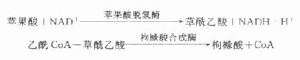 临床生化方法的分类