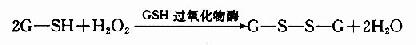 γ-谷氨酰基循环