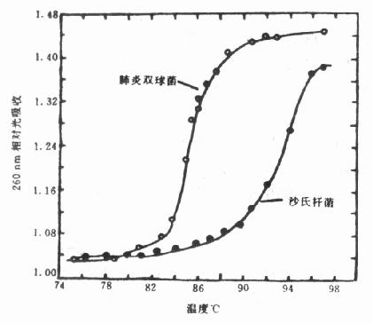 DNA的增色反应