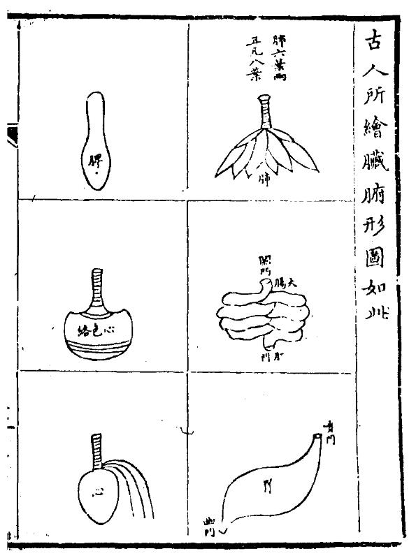 古人所绘脏腑形图如此