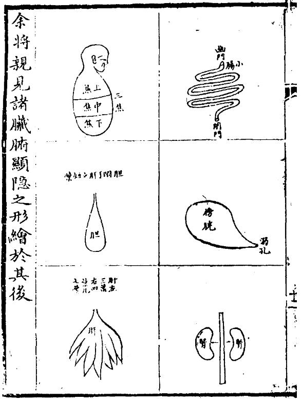 亲见改正脏腑图-2