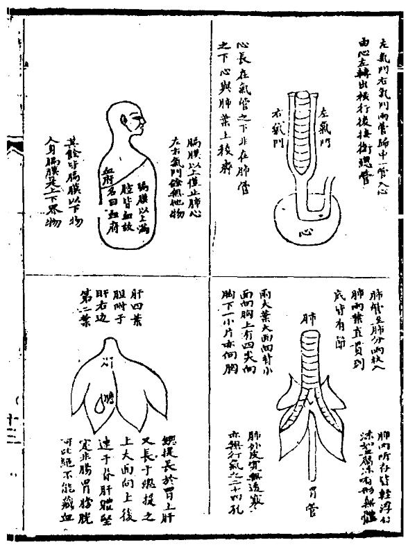 亲见改正脏腑图-3