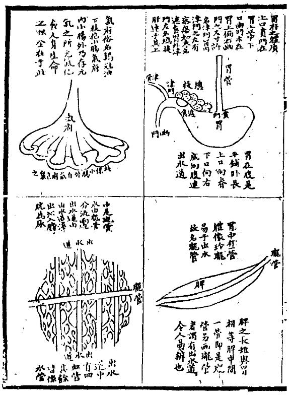 亲见改正脏腑图-4