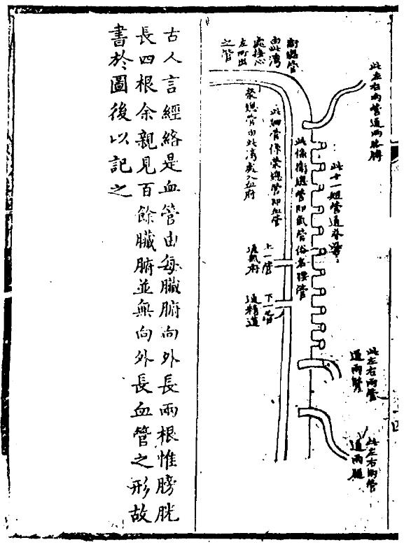 亲见改正脏腑图-6