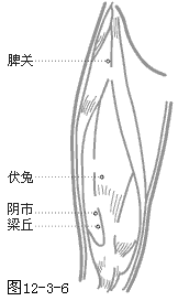 髀关